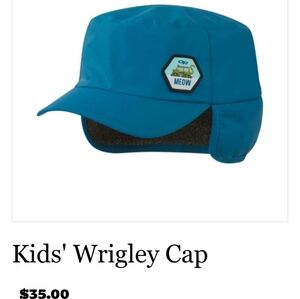 Outdoor Research Snow Ski Snowboard Cat